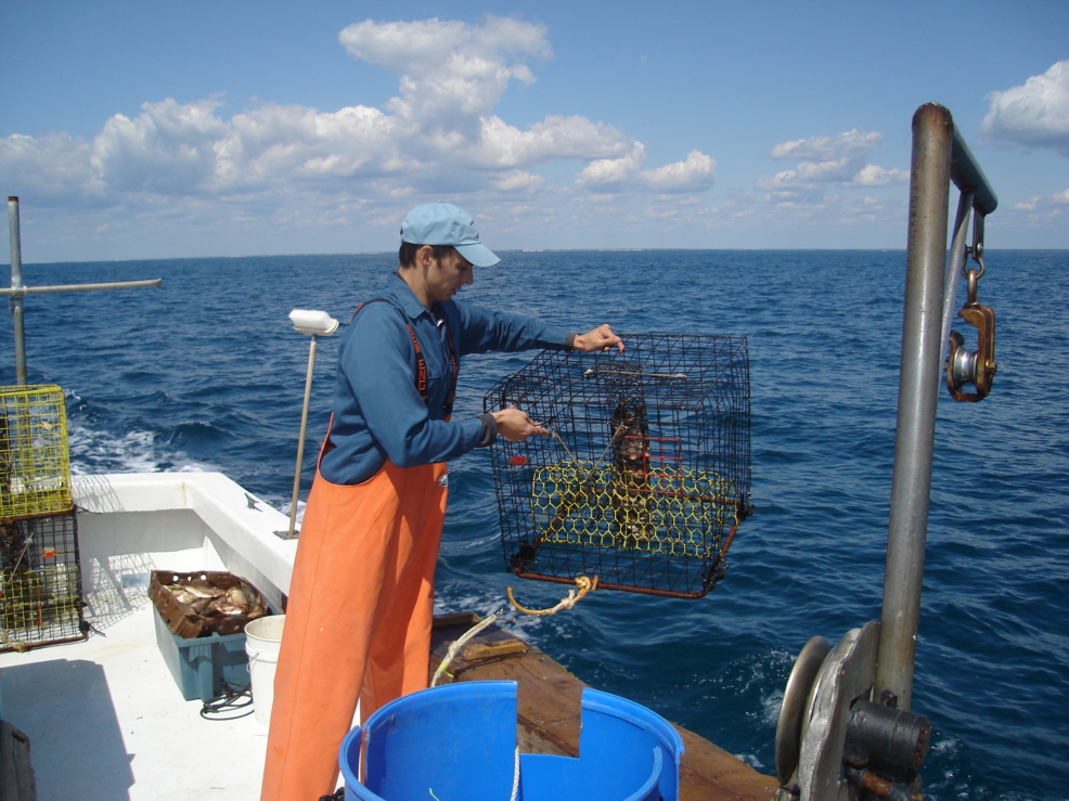 My first forays into ecology too